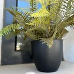 Three Bedroom Sea View Townhouse וילה